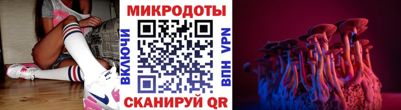 Псилоцибиновые грибы Psilocybine cubensis  Шимановск 